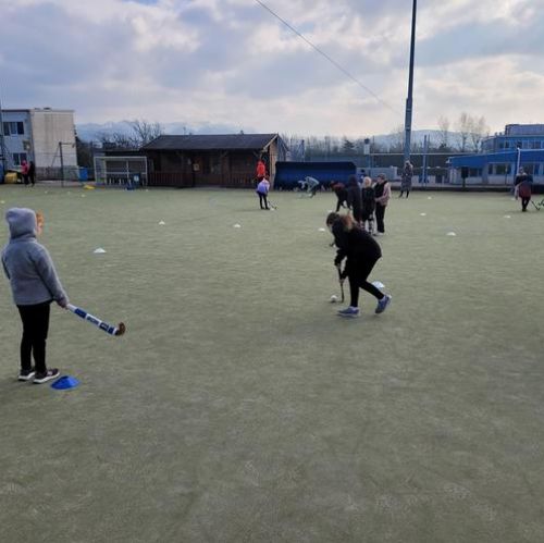 Hockey Coaching Festival (whole class)