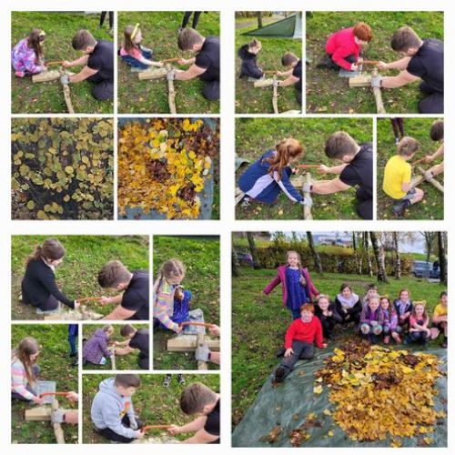 Forest Schools in Year 4