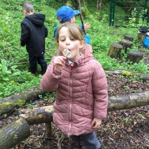 Forest School Year 1 2022-2023