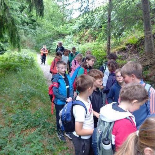 Geography Dodd Wood walk July 2023