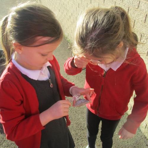 Investigating Rocks