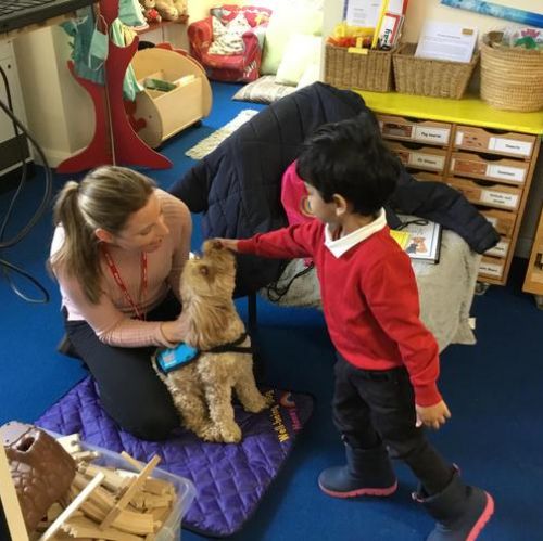 PAT therapy dog visit - learning how to look after and care for animals